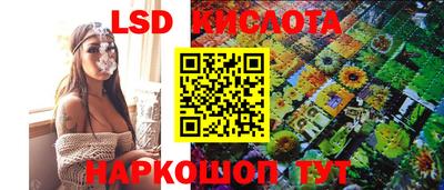 прущие грибы Кимры