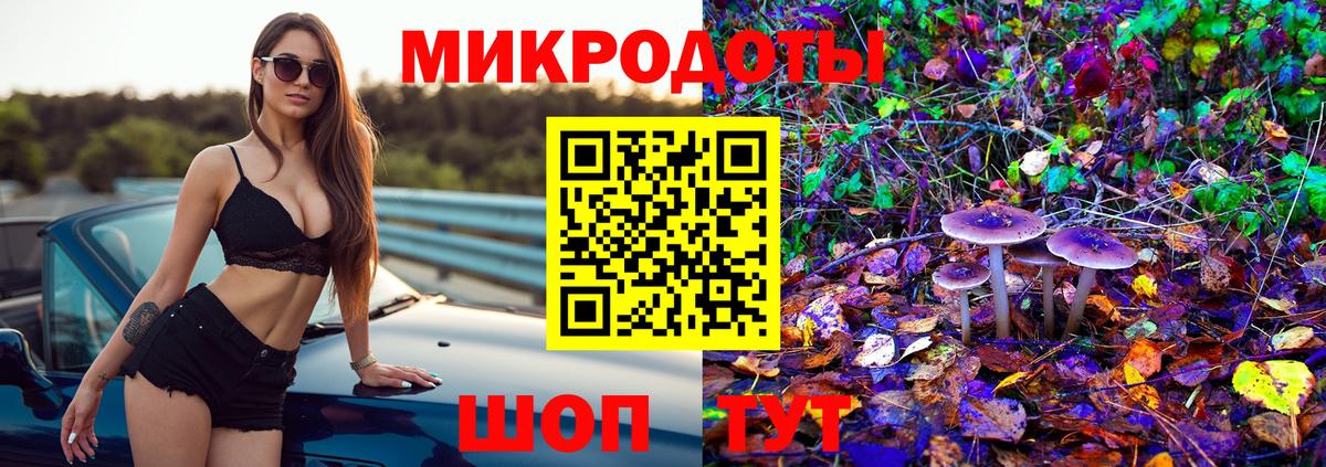 Псилоцибиновые грибы Cubensis Елизово